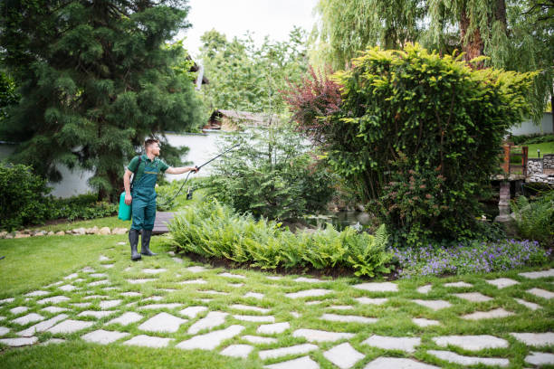 Best Affordable Pest Control Services  in San Juan Bautista, CA