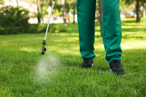 Best Best Pest Control Companies  in San Juan Bautista, CA