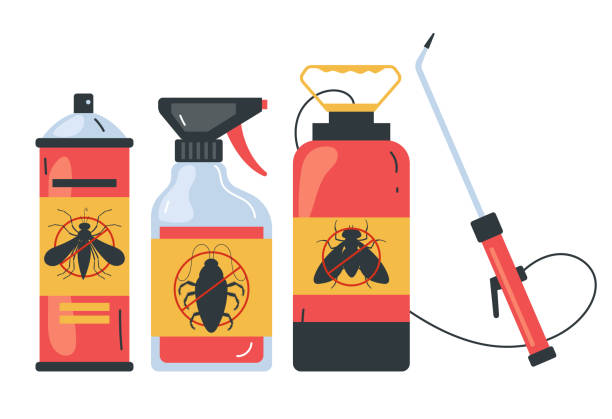 Best Spider Control Near Me  in San Juan Bautista, CA