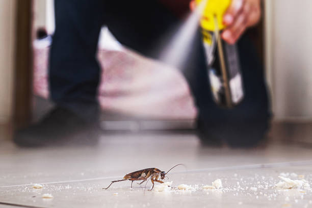 Trusted San Juan Bautista, CA Pest Control Experts