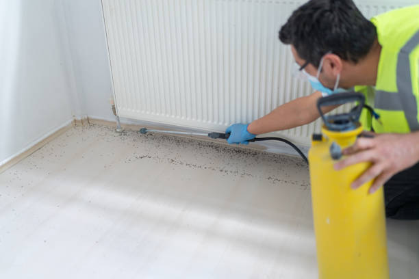 Best Affordable Pest Control Services  in San Juan Bautista, CA